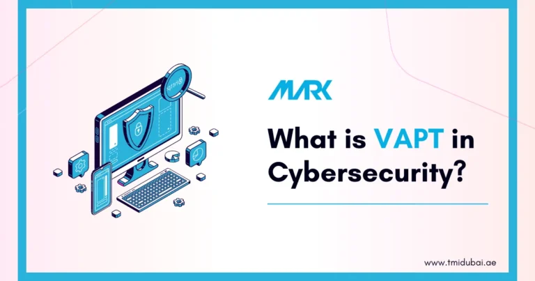 What is VAPT in Cybersecurity